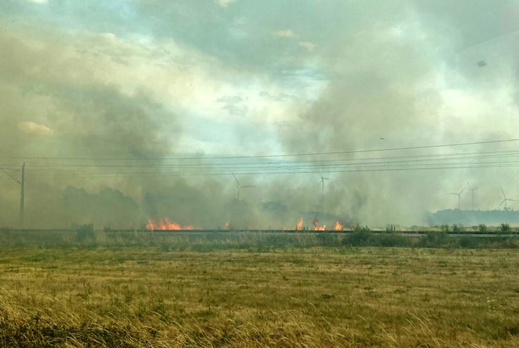 Waldbrand in Elbe-Elster bei Kölsa-Rehfeld