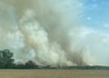 Waldbrand in Elbe-Elster bei Kölsa-Rehfeld