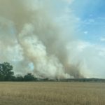 Waldbrand in Elbe-Elster bei Kölsa-Rehfeld