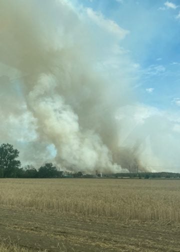 Waldbrand in Elbe-Elster bei Kölsa-Rehfeld