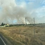 Waldbrand in Elbe-Elster bei Kölsa-Rehfeld