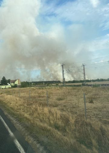 Waldbrand in Elbe-Elster bei Kölsa-Rehfeld