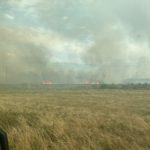 Waldbrand in Elbe-Elster bei Kölsa-Rehfeld