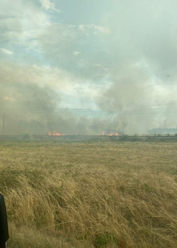 Waldbrand in Elbe-Elster bei Kölsa-Rehfeld