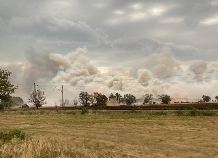 Waldbrand in Elbe-Elster bei Kölsa-Rehfeld. Evakuierung nötig!