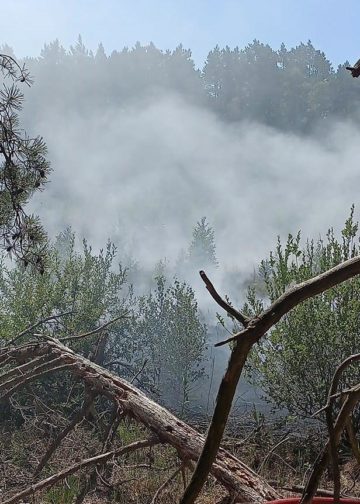 Waldbrand zwischen Münchehofe und Märkisch Buchholz; Foto: Blaulicht LDS und Umgebung