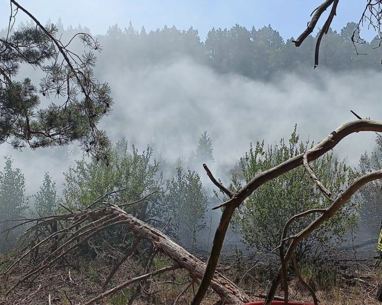 Waldbrand zwischen Münchehofe und Märkisch Buchholz; Foto: Blaulicht LDS und Umgebung