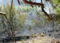 Waldbrand zwischen Münchehofe und Märkisch Buchholz; Foto: Blaulicht LDS und Umgebung