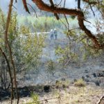 Waldbrand zwischen Münchehofe und Märkisch Buchholz; Foto: Blaulicht LDS und Umgebung