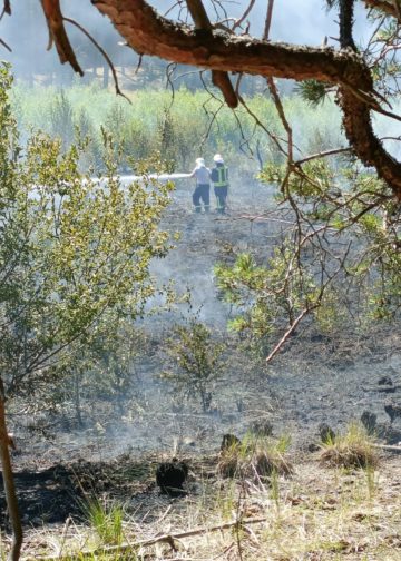 Waldbrand zwischen Münchehofe und Märkisch Buchholz; Foto: Blaulicht LDS und Umgebung