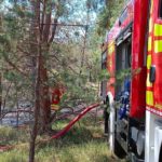 Waldbrand zwischen Münchehofe und Märkisch Buchholz; Foto: Blaulicht LDS und Umgebung