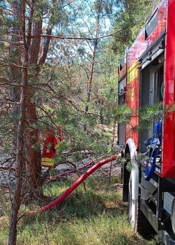 Waldbrand zwischen Münchehofe und Märkisch Buchholz; Foto: Blaulicht LDS und Umgebung