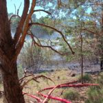 Waldbrand zwischen Münchehofe und Märkisch Buchholz; Foto: Blaulicht LDS und Umgebung