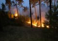 Waldbrand Lieberoser Heide; Blaulicht LDS und Umgebung