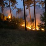 Waldbrand Lieberoser Heide; Blaulicht LDS und Umgebung