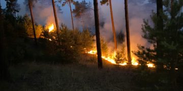 Waldbrand Lieberoser Heide; Blaulicht LDS und Umgebung