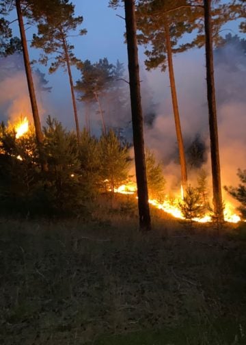 Waldbrand Lieberoser Heide; Blaulicht LDS und Umgebung