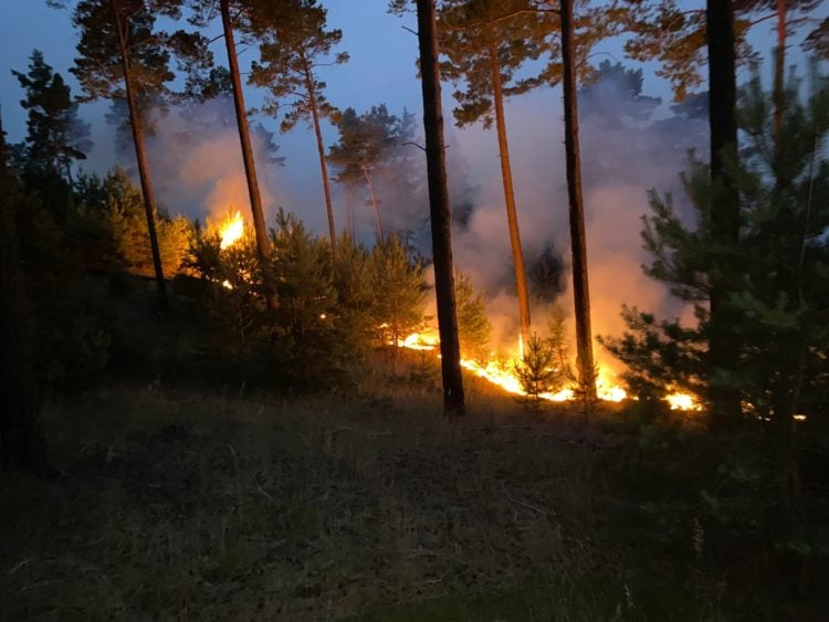 Waldbrand Lieberoser Heide; Blaulicht LDS und Umgebung