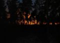 Waldbrand Lieberoser Heide; Blaulicht LDS und Umgebung