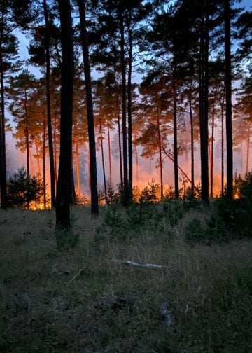 Waldbrand Lieberoser Heide; Blaulicht LDS und Umgebung