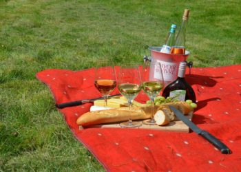 Rückkehrer-Initiative lädt zum Sommerpicknick nach Guben