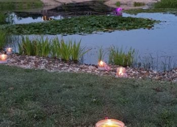 Förderverein Lausitzer Findlingspark Nochten e.V.