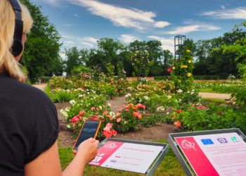 linaMEDIA, Lina Herold