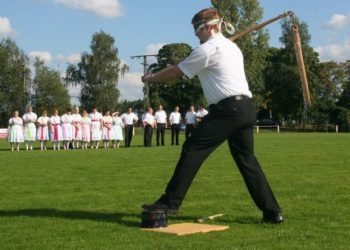 Archiv Hahnschlagen Guhrow