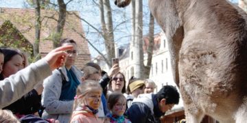 www.zoo-goerlitz.de, I. Plath