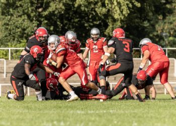 Cottbus Crayfish gegen Spandau Bulldogs