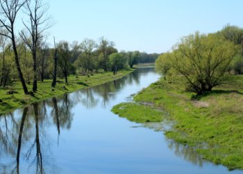 Dank Regen! Cottbuser Spreewasser wird wieder in Nebenarme geleitet