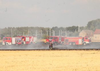 Feld brannte bei Allmosen. Bahnverkehr zeitweise unterbrochen