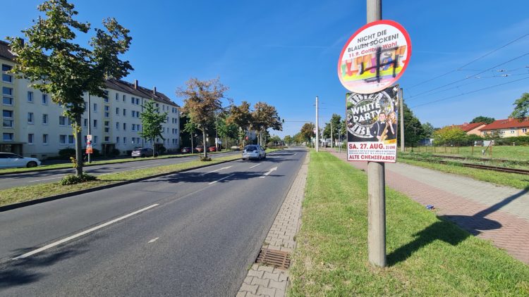 Beschmierte Wahlplakate und Plakate eines Bürgerbündnisses in Cottbus; Foto: @UK