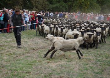 Ende der Sommerzeit wird in Lieskau mit Almabtrieb gefeiert