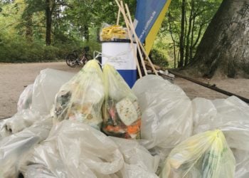 World Cleanup Day: Wirtschaftsjunioren Cottbus rufen zur Aufräumaktion