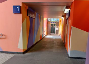 Tilo Steinert, Stadtverwaltung