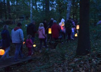 Naturwissenschaftlicher Verein der Niederlausitz e.V.