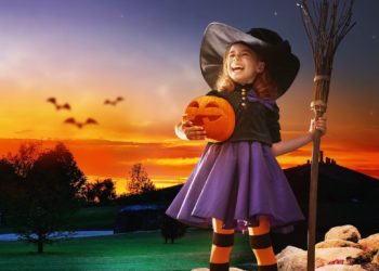 Förderverein Lausitzer Findlingspark Nochten e.V.