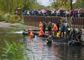 Peitz fischt ab: Kraftwerkstraße gesperrt und veränderte Linienführung