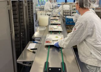 Lausitzer Seenland Klinikum GmbH