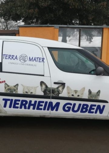 Terra Mater