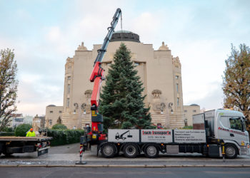 Staatstheater Cottbus: Weihnachtsbaum vor dem Großem Haus aufgestellt