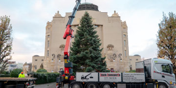 Angekommen: Der diesjährige Weihnachtsbaum wird abgeladen und vor dem Großen Haus des Staatstheater Cottbus aufgestellt. (Foto: Jan Isaak Voges)