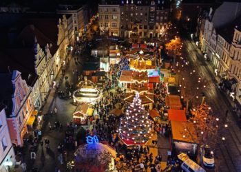 Cottbuser Weihnachtsmarkt verschenkt Weihnachtsbäume