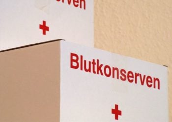 DRK: Sonderblutspendetermine in Brandenburg am Weihnachtsfeiertag