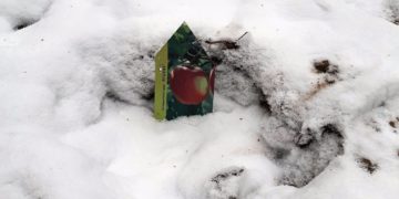 Ausgegraben und mitgenommen - vom Apfelbaum fehlt jede Spur. /Landkreis Spree-Neiße/Wokrejs Sprjewja-Nysa