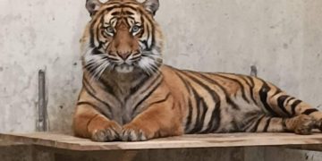 Tierpark Cottbus