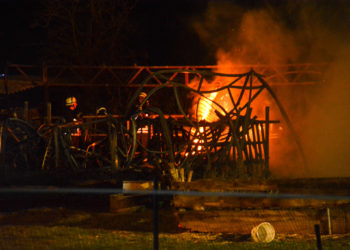 Brand am Neujahstag in Ogrosen, zwei Tiere sterben, Blaulichtreport Lausitz