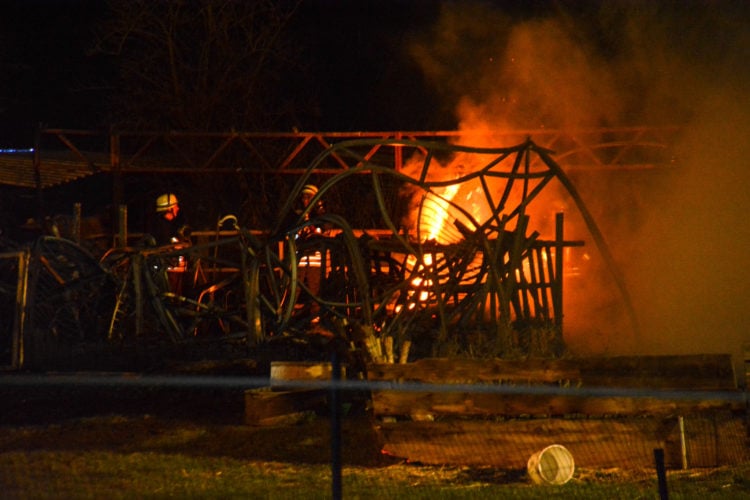 Brand am Neujahstag in Ogrosen, zwei Tiere sterben, Blaulichtreport Lausitz