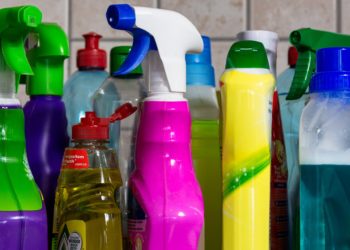 Biologische Reinigungsmittel für Teppiche und Polster im Test